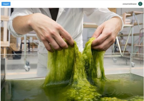 Qué hace la espirulina en el cuerpo?
